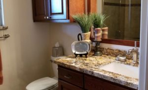 Bathroom Remodel in Magnolia